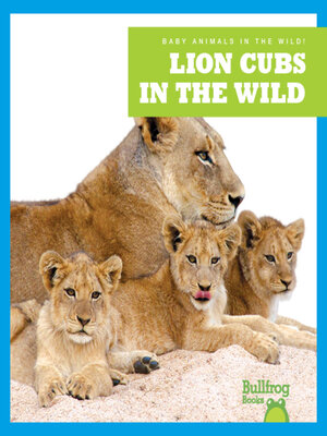 cover image of Lion Cubs in the Wild